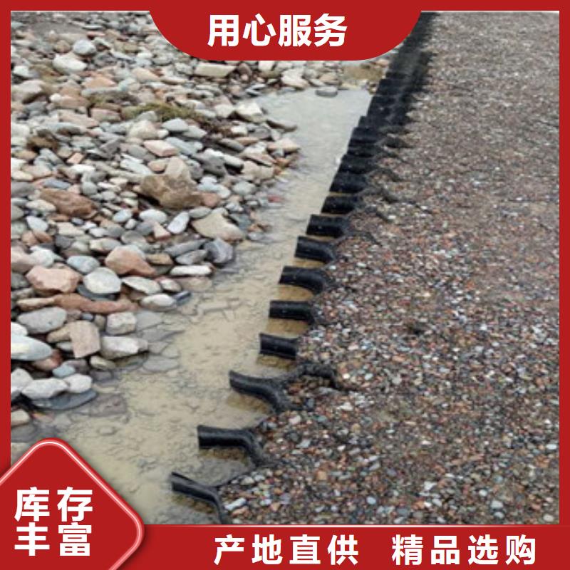 蜂巢格室_双向塑料土工格栅定制销售售后为一体