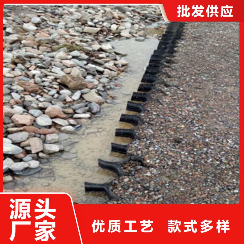蜂巢格室-土工网垫满足客户所需