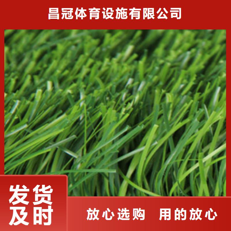塑胶地板视频-塑胶地板|鹤壁市|山城|浚县|南阳|漯河|周口|焦作|郑州