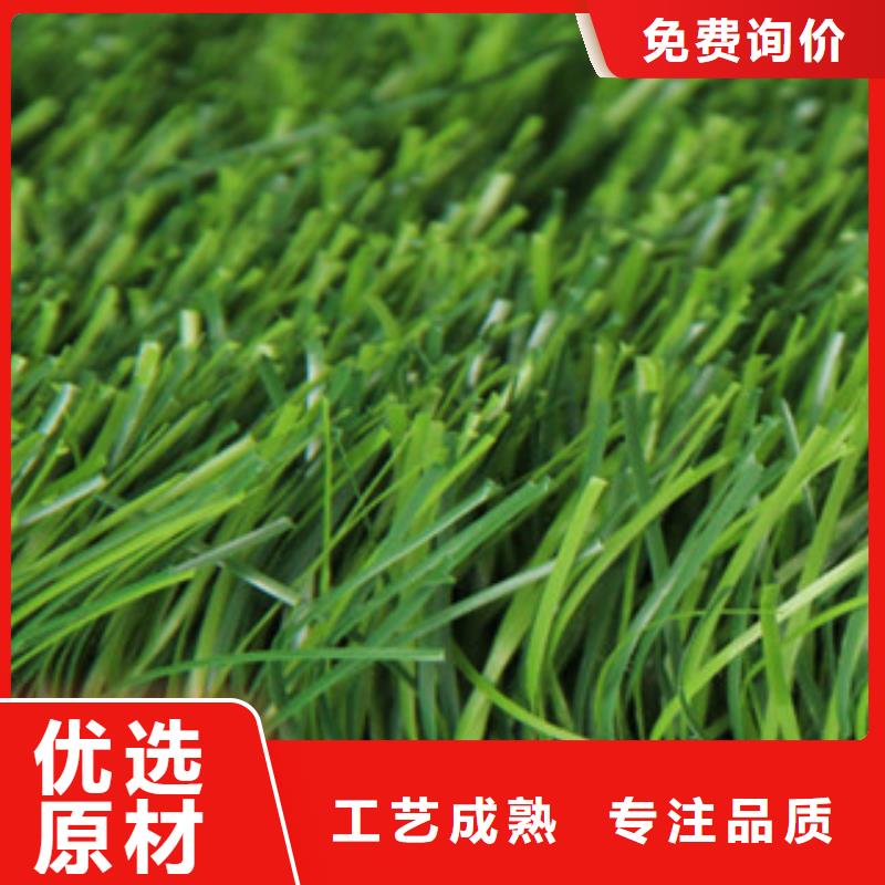 人造草坪,室外健身器材按需定制