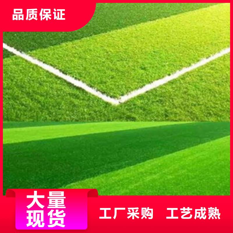 人造草坪,室外健身器材按需定制