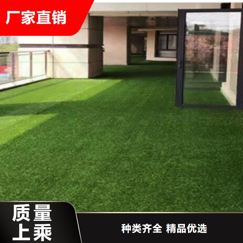 人造草坪塑胶跑道一站式供应厂家