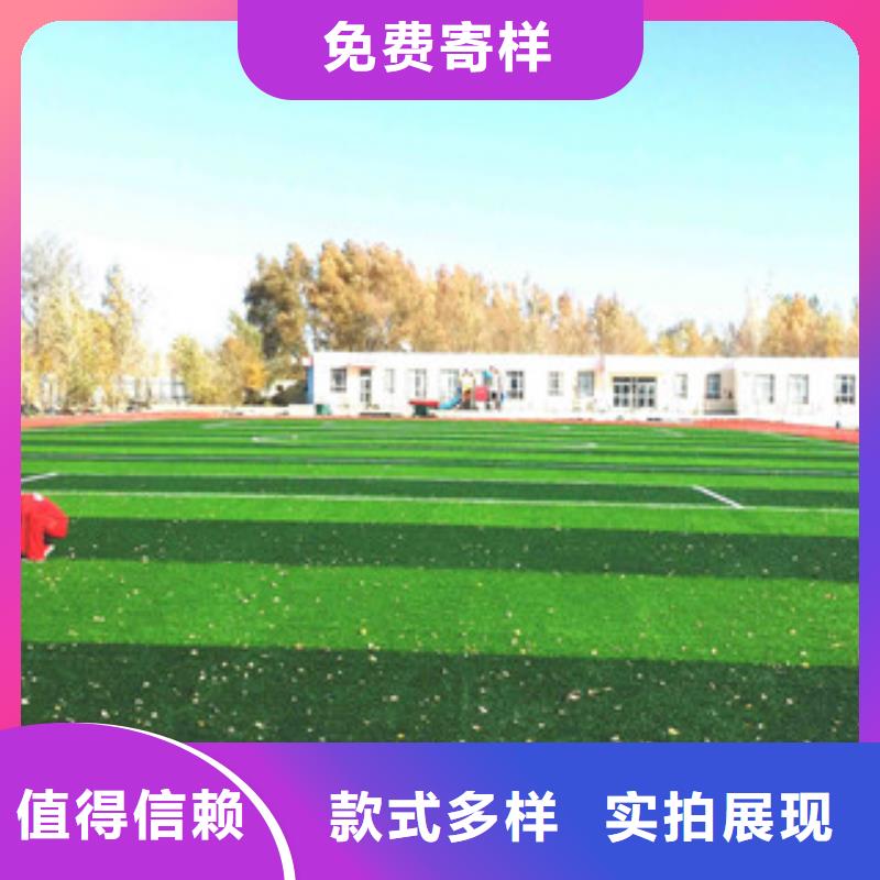 人造草坪体育器材源头厂源头货