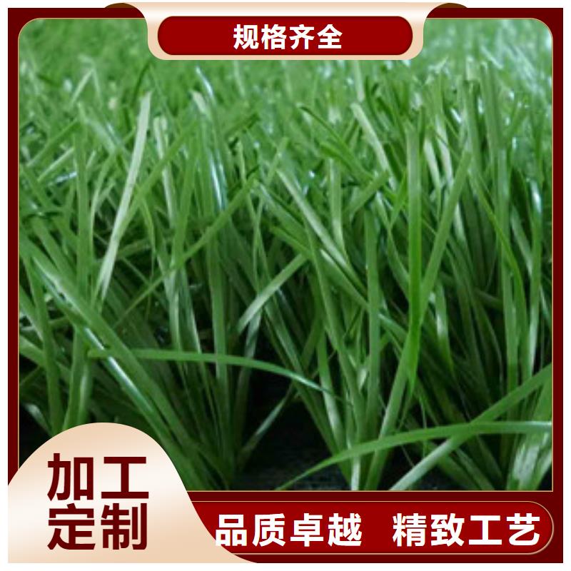 人造草坪省心又省钱
