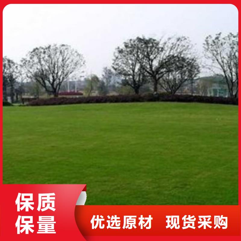 人造草坪,室外健身器材按需定制