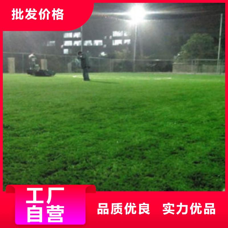 塑胶地板视频-塑胶地板|鹤壁市|山城|浚县|南阳|漯河|周口|焦作|郑州