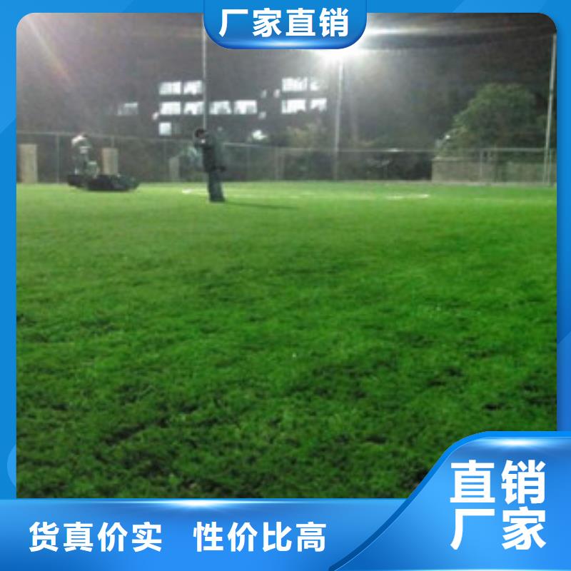 乌兰察布|锡林郭勒|呼和浩特|通辽|乌海|包头|兴安人造草坪【室外健身器材】使用方法服务商