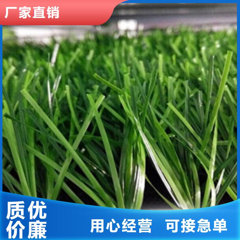 人造草坪,室外健身器材按需定制