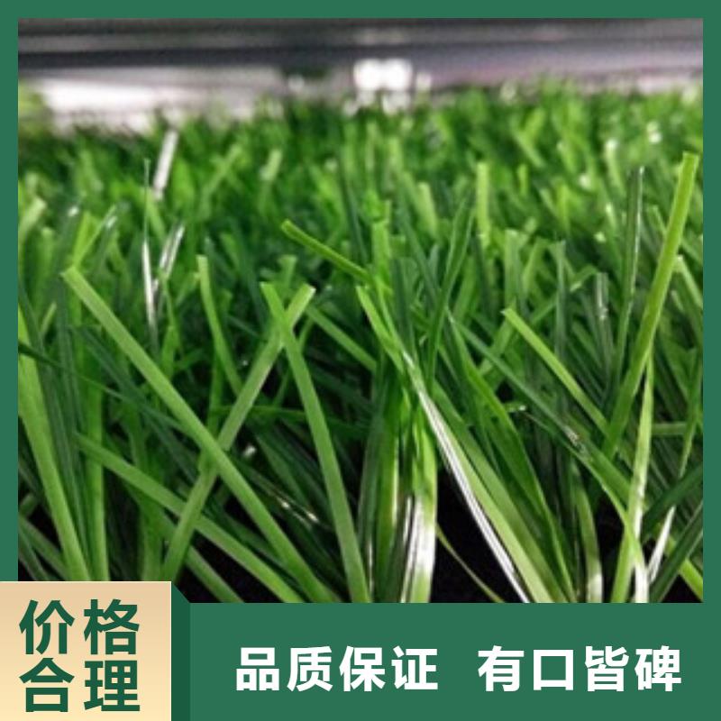 人造草坪,室外健身器材按需定制