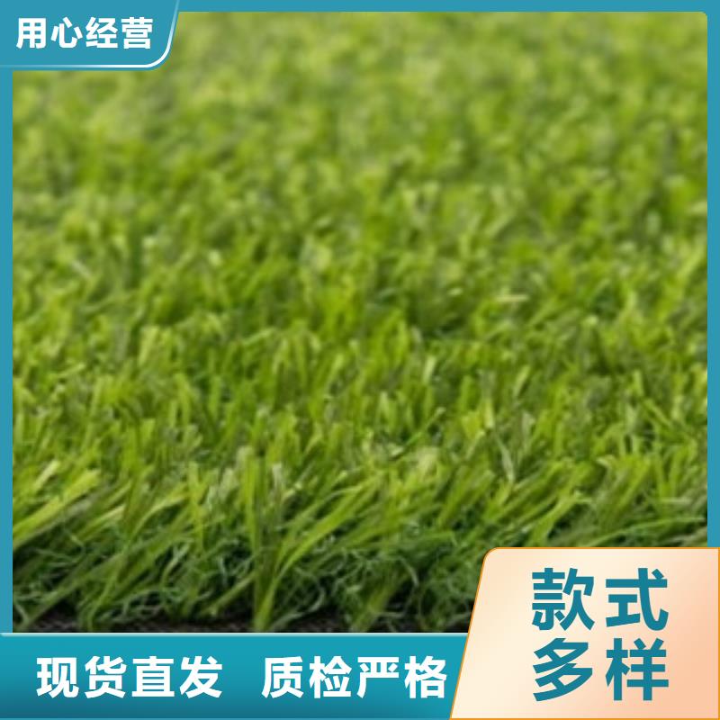 人造草坪体育器材源头厂源头货