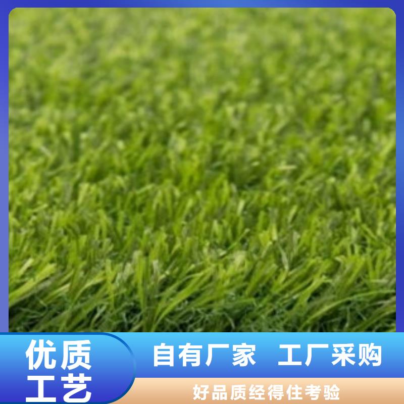 人造草坪,室外健身器材按需定制