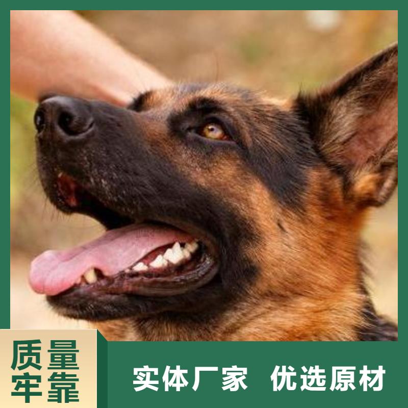 罗威纳犬视频-罗威纳犬|内蒙古包头市|锡林郭勒|阿拉善|乌兰察布|鄂尔多斯