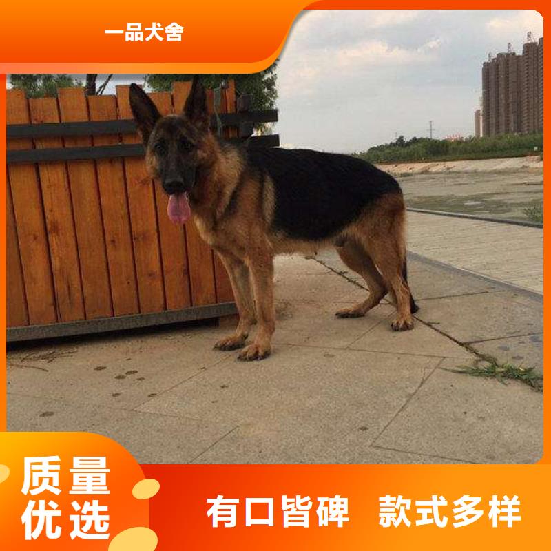 德国牧羊犬马犬使用方法