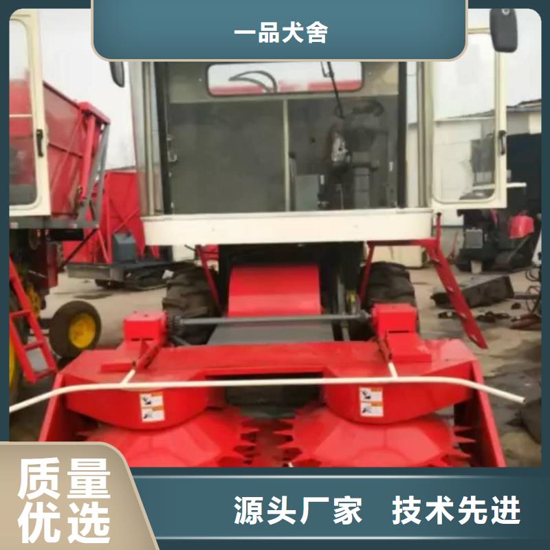 罗威纳犬视频-罗威纳犬_安徽省蚌埠市市场覆盖怀远|五河|亳州|芜湖|池州|黄山|六安等