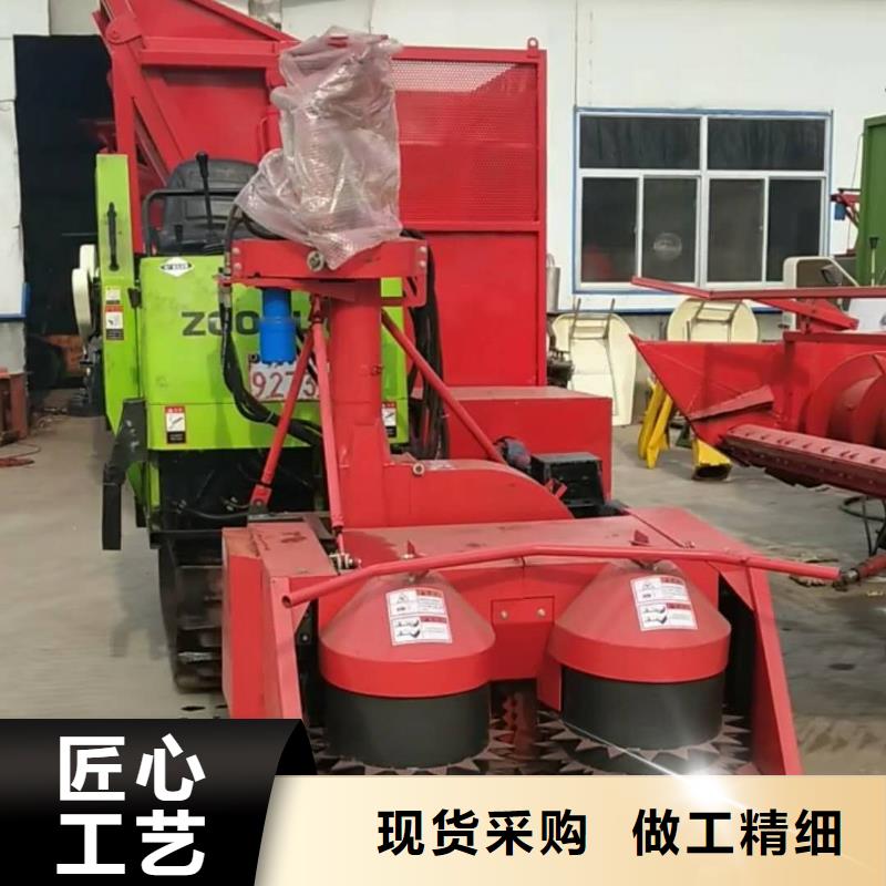 青储机德牧犬设备齐全支持定制