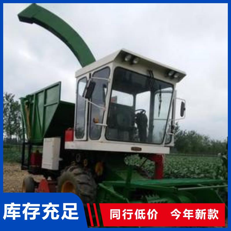 【青储机罗威纳犬厂家直营】
