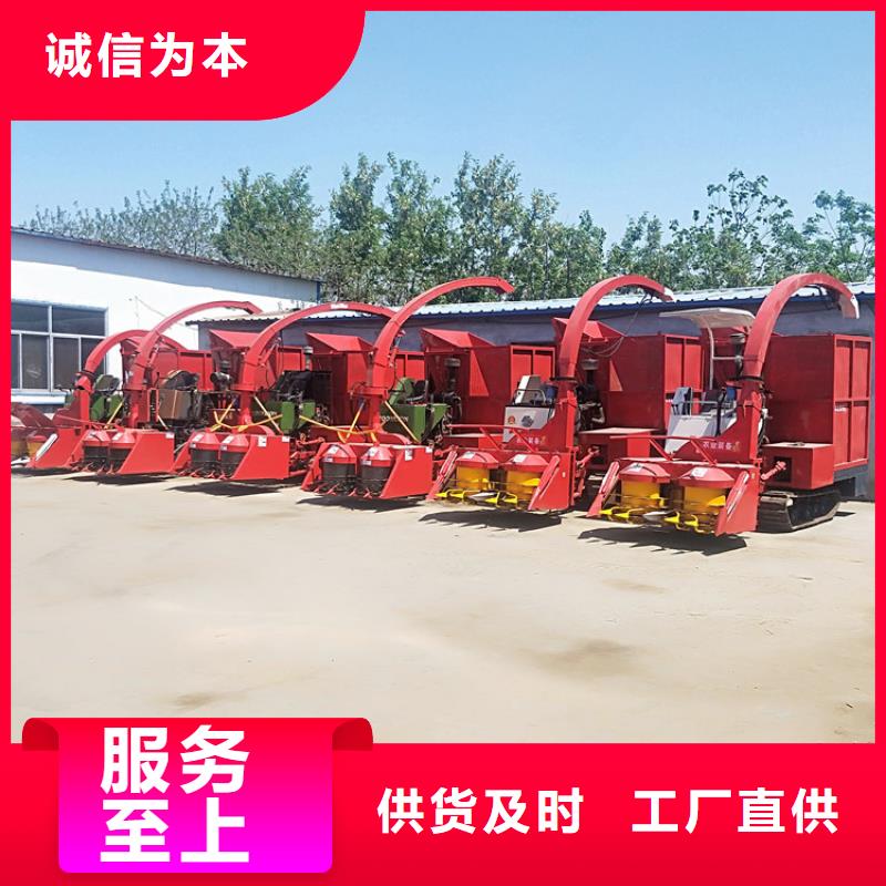 罗威纳犬视频-罗威纳犬_安徽省蚌埠市市场覆盖怀远|五河|亳州|芜湖|池州|黄山|六安等