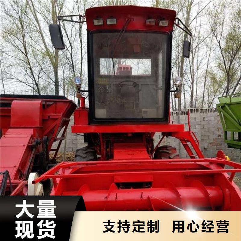 青储机马犬就近发货