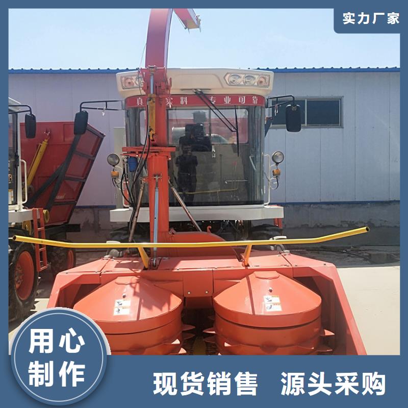 青储机马犬厂家批发价