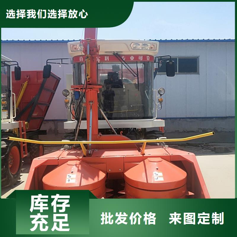 青储机德牧犬可零售可批发