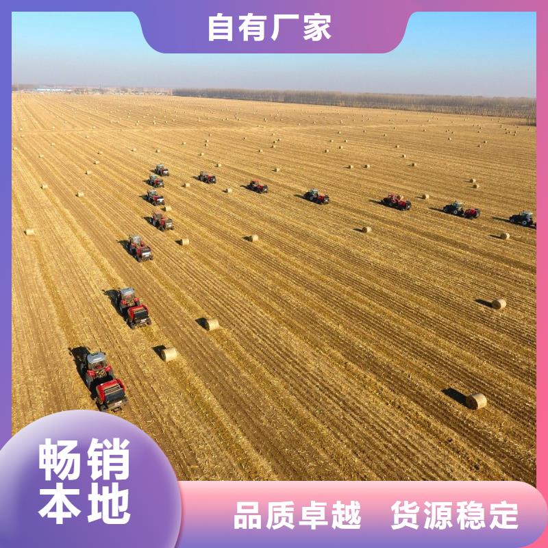 罗威纳犬视频-罗威纳犬-湖北省武汉市江岸|汉阳|十堰|恩施|襄阳|孝感|荆门【本地】品牌