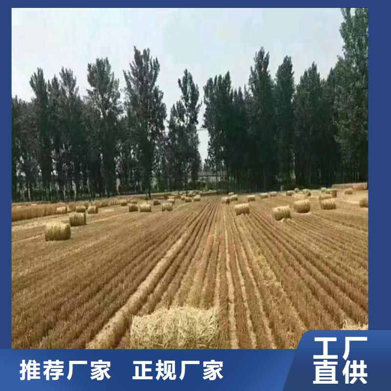 罗威纳犬视频-罗威纳犬-湖北省武汉市江岸|汉阳|十堰|恩施|襄阳|孝感|荆门【本地】品牌
