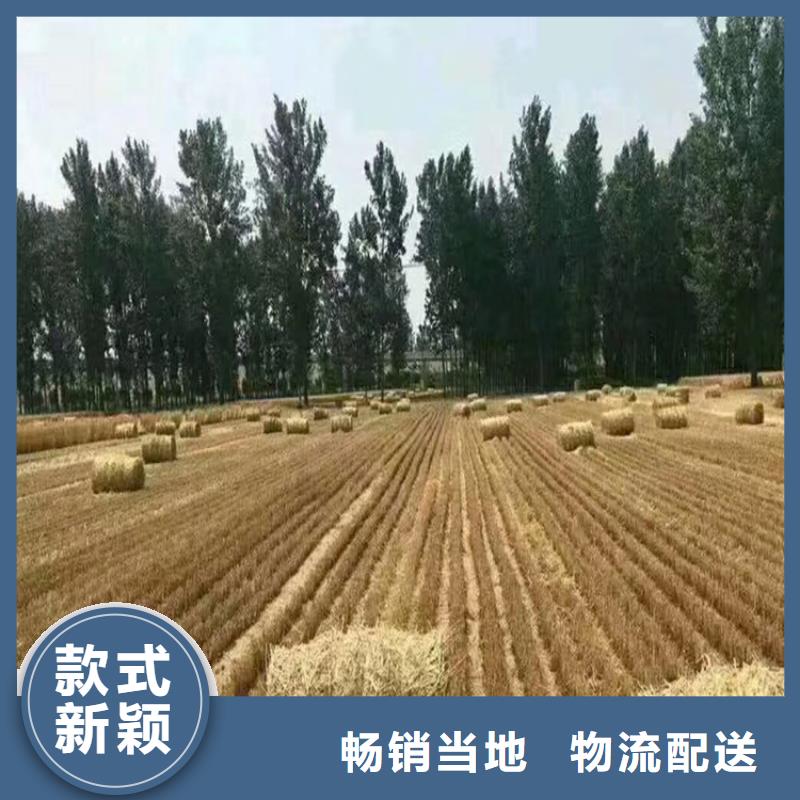 罗威纳犬视频-罗威纳犬-一品犬舍(唐山市分公司)服务区域古冶|路北|承德|秦皇岛|保定|沧州|石家庄