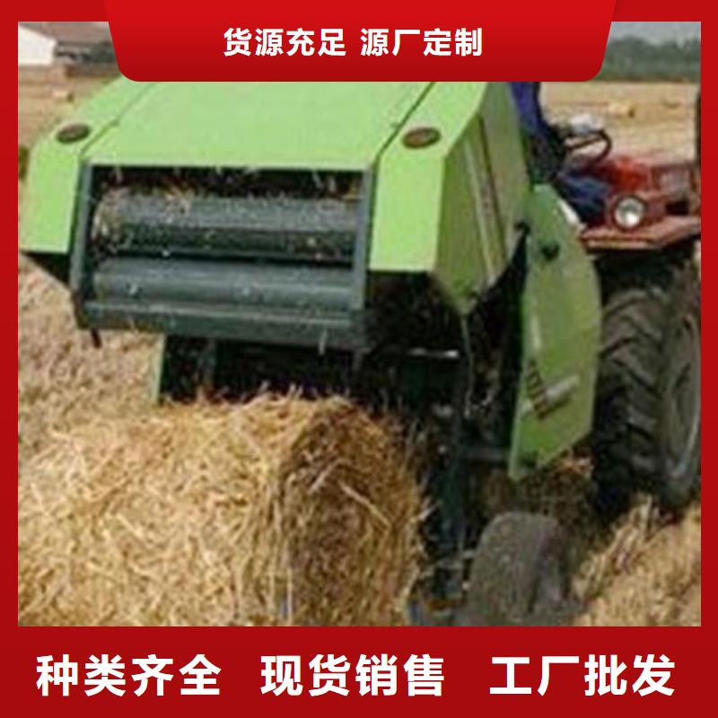 打捆机杜宾犬定金锁价