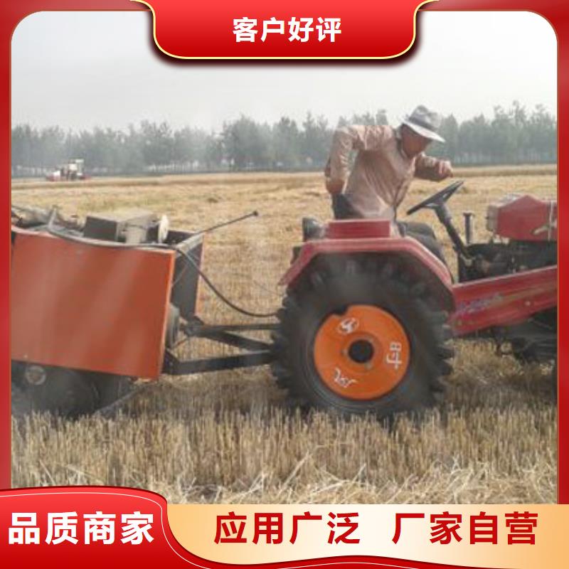 罗威纳犬视频-罗威纳犬-湖北省武汉市江岸|汉阳|十堰|恩施|襄阳|孝感|荆门【本地】品牌