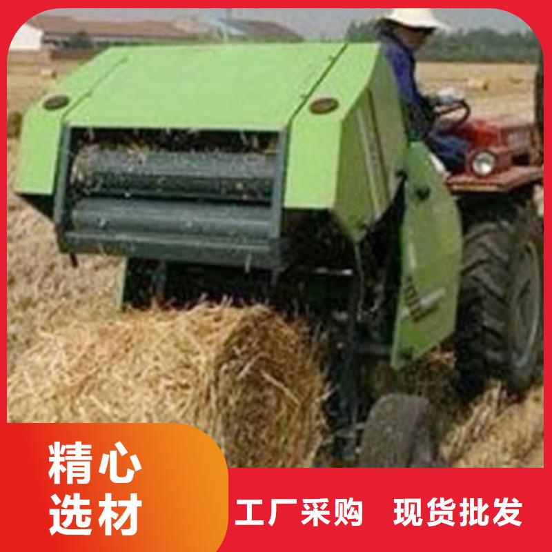 罗威纳犬视频-罗威纳犬-湖北省武汉市江岸|汉阳|十堰|恩施|襄阳|孝感|荆门【本地】品牌