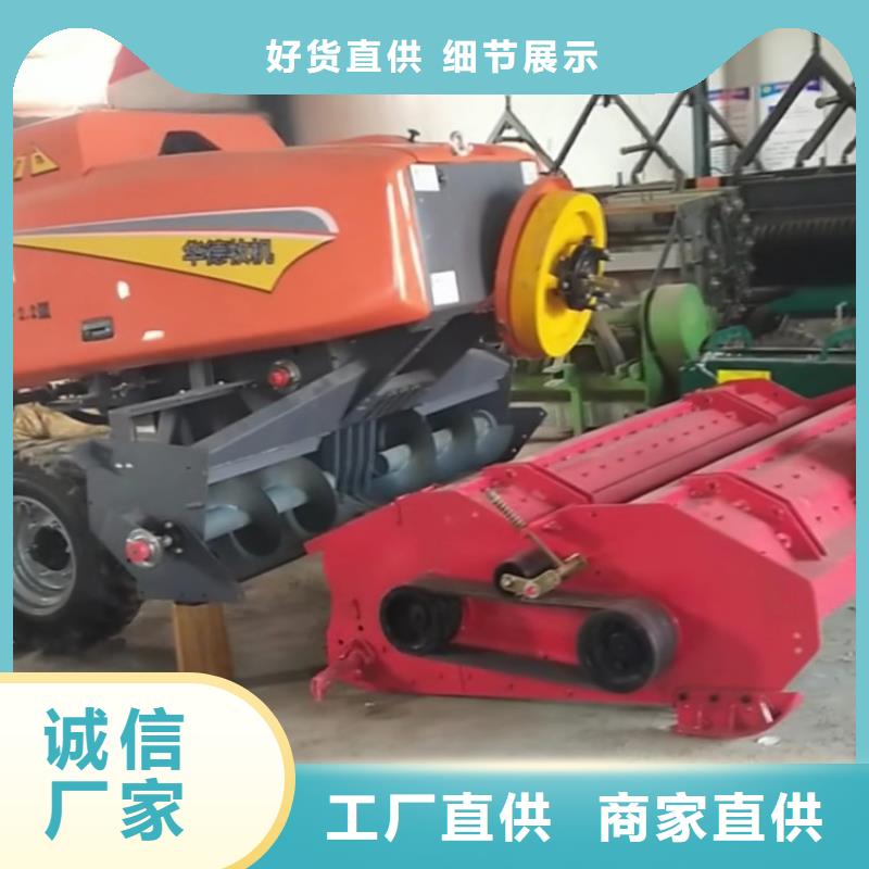 打捆机马犬的图文介绍