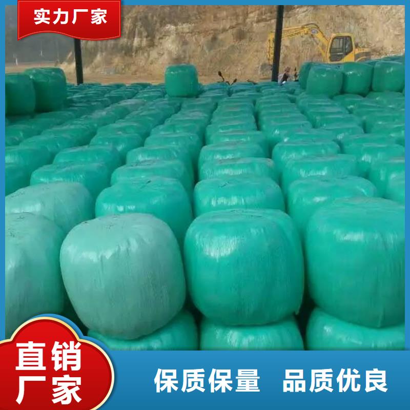 罗威纳犬视频-郧西|竹山|恩施|宜昌|荆门|武汉|黄石|荆州|随州罗威纳犬优选原材-一品犬舍(十堰市分公司)