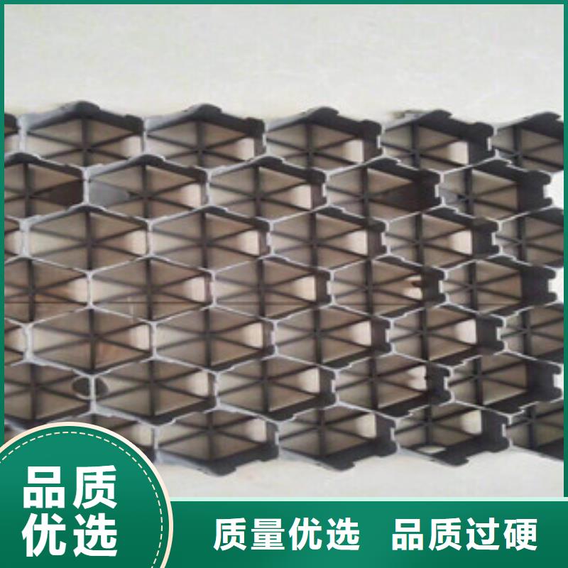 【环保植草格】,土工膜厂家应用范围广泛 富泰土工材料(滨州市分公司)