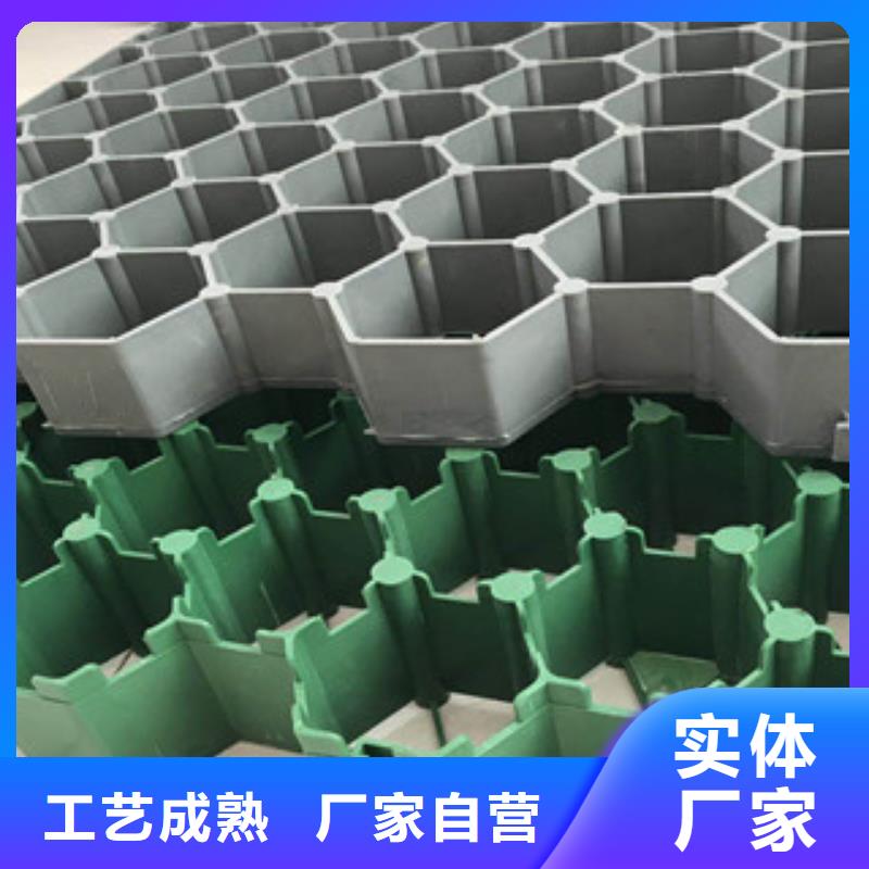 【环保植草格】,土工膜厂家应用范围广泛 富泰土工材料(滨州市分公司)