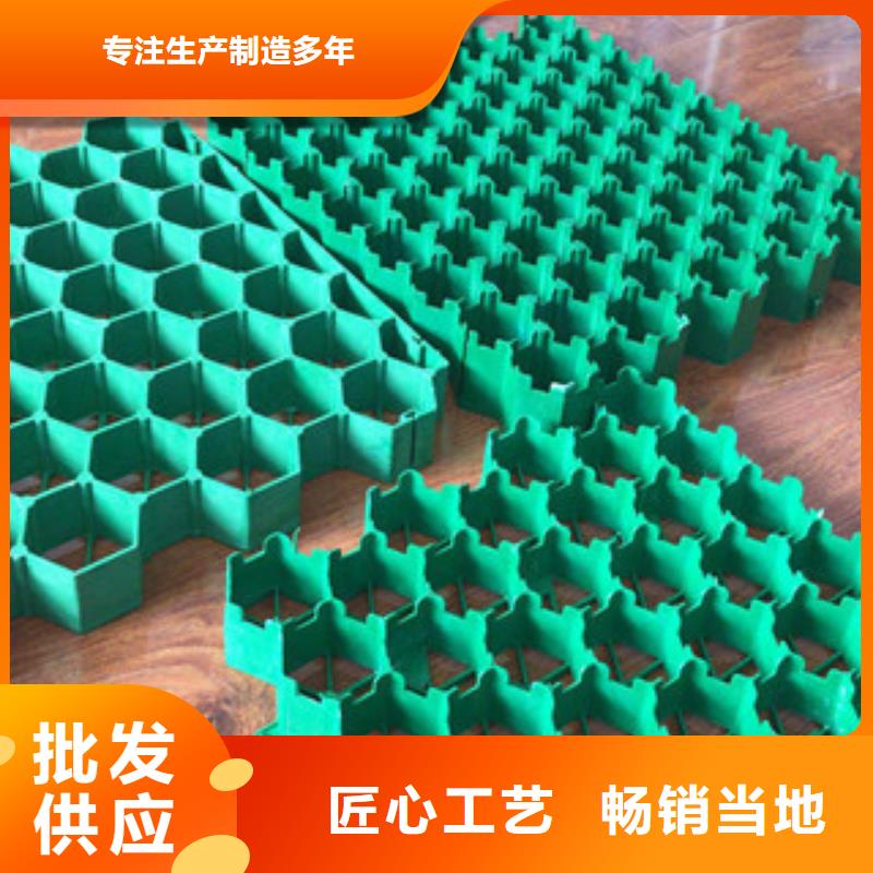 【环保植草格】,土工膜厂家应用范围广泛 富泰土工材料(滨州市分公司)