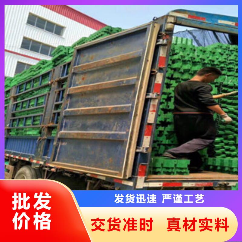 【环保植草格】,土工膜厂家应用范围广泛 富泰土工材料(滨州市分公司)