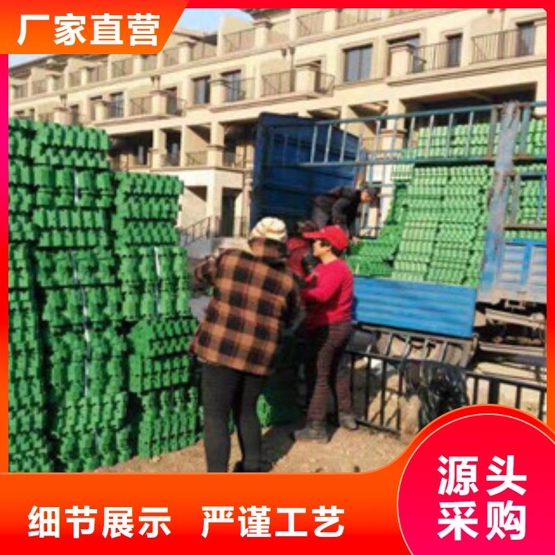 环保植草格_土工布厂家精选好货