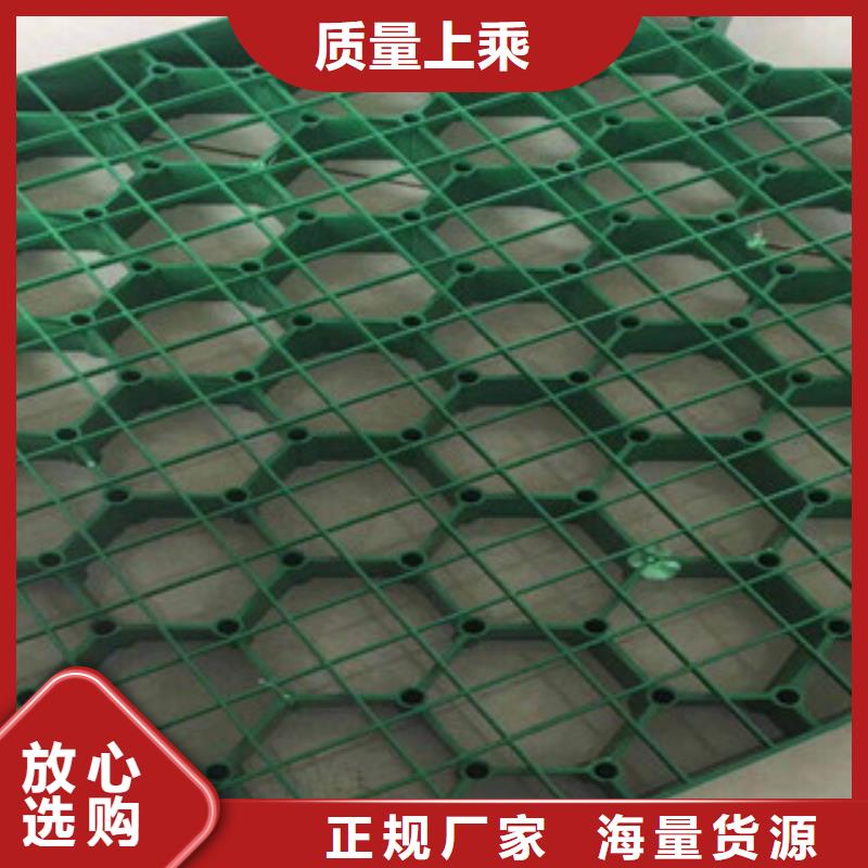 环保植草格土工膜厂家一手货源