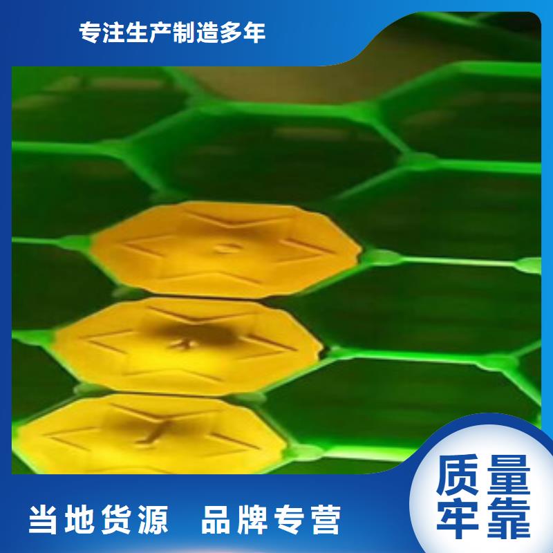环保植草格_土工布厂家精选好货