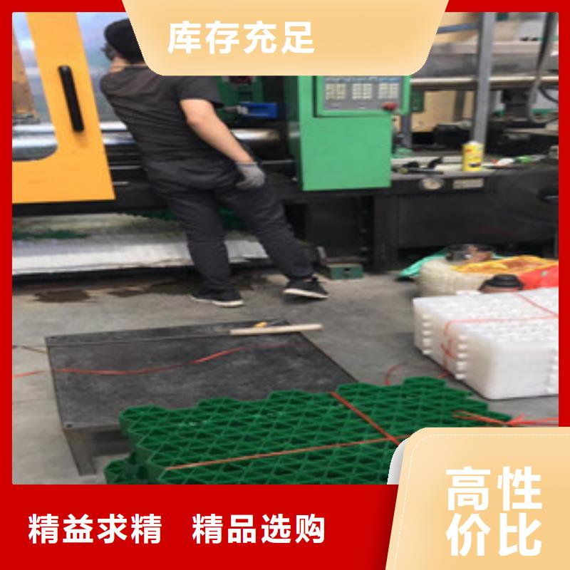 环保植草格植草格厂家设备齐全支持定制