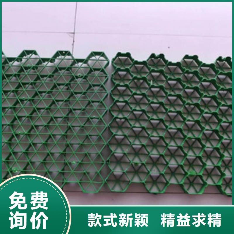 环保植草格植草格厂家设备齐全支持定制