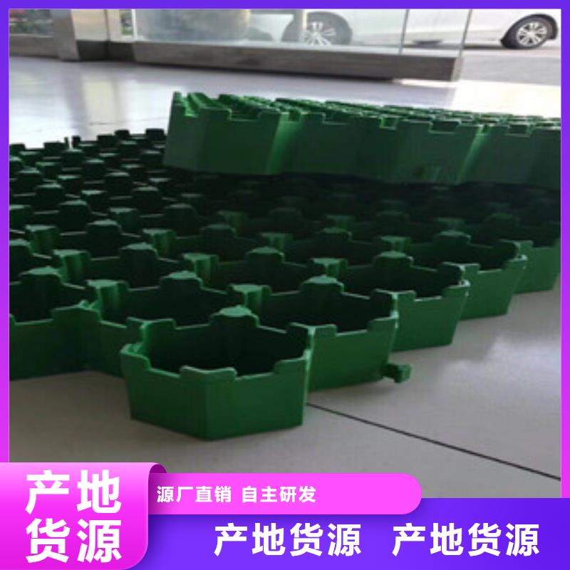 环保植草格膨润土防水毯厂家实力见证