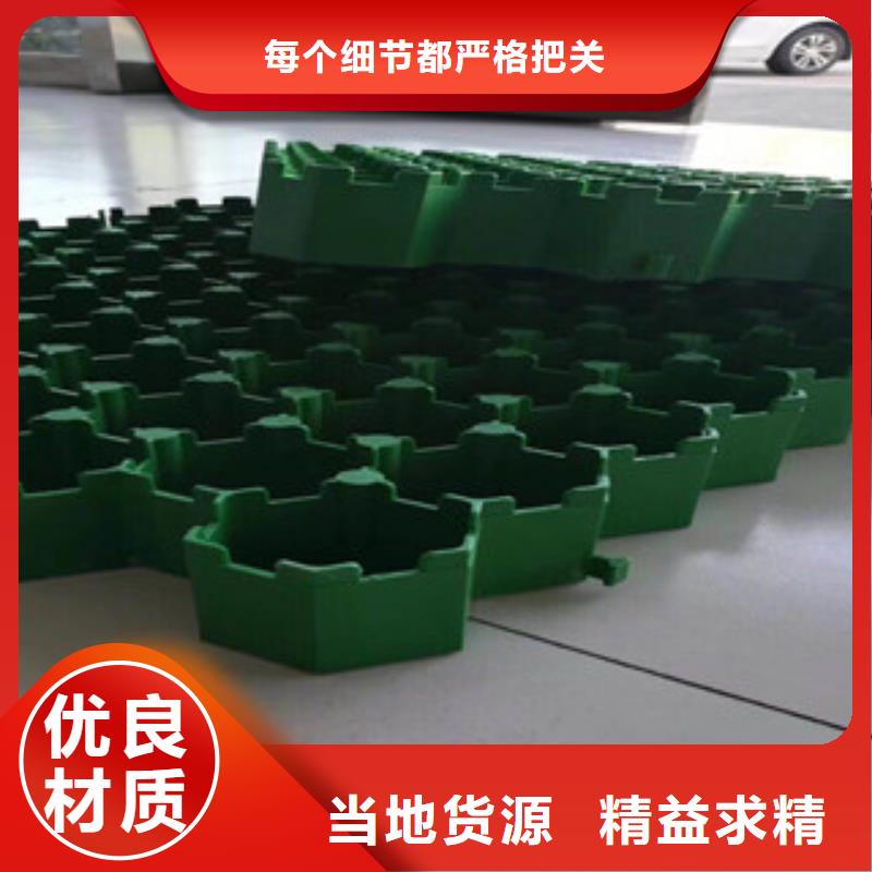 【环保植草格】,土工膜厂家应用范围广泛 富泰土工材料(滨州市分公司)