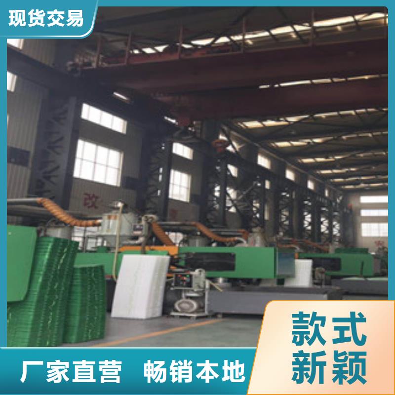 【环保植草格】,土工膜厂家应用范围广泛 富泰土工材料(滨州市分公司)