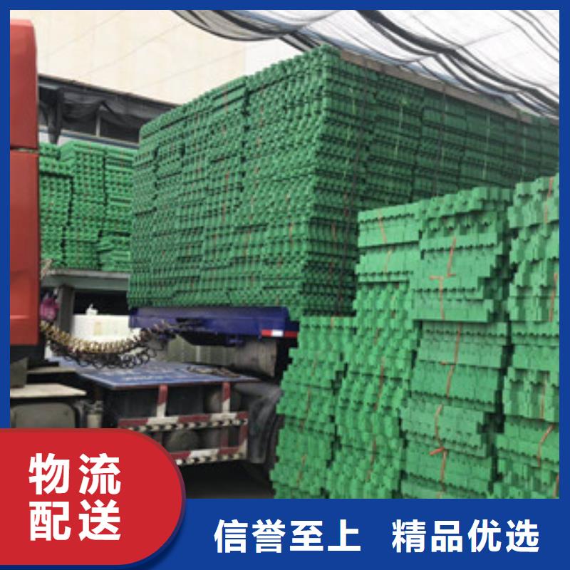 【环保植草格】,土工膜厂家应用范围广泛 富泰土工材料(滨州市分公司)