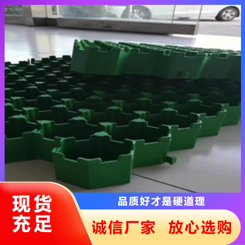 【环保植草格】,土工膜厂家应用范围广泛 富泰土工材料(滨州市分公司)