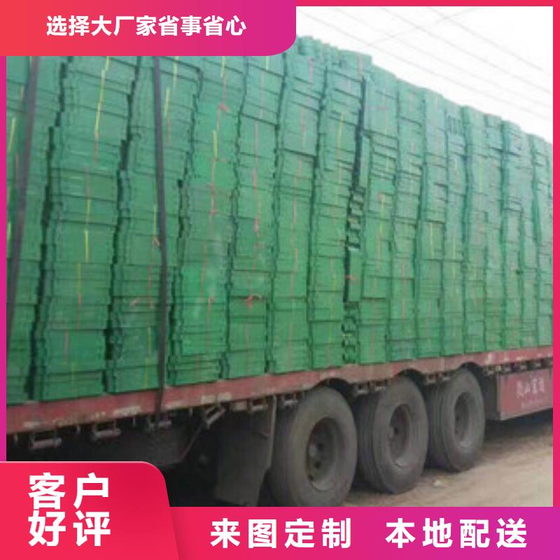 【环保植草格】,土工膜厂家应用范围广泛 富泰土工材料(滨州市分公司)