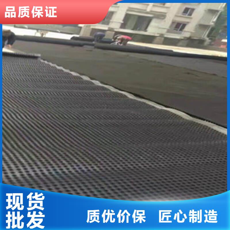 塑料排水板虹吸排水板厂家制造生产销售