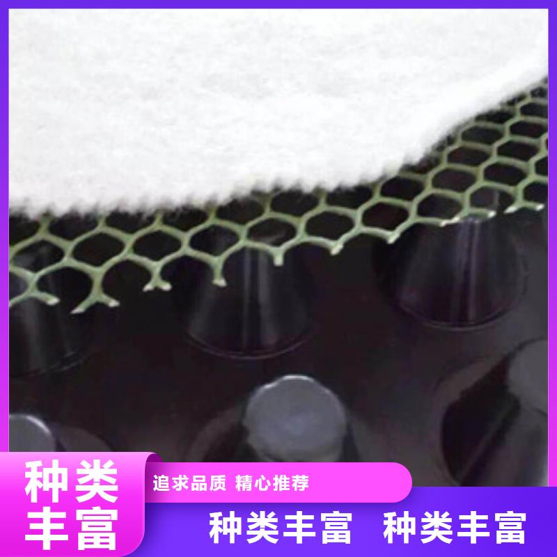 塑料排水板植草格厂家工厂采购