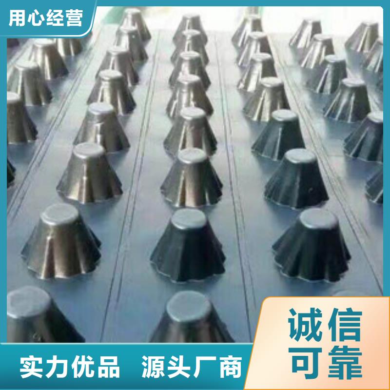 塑料排水板植草格厂家品质可靠